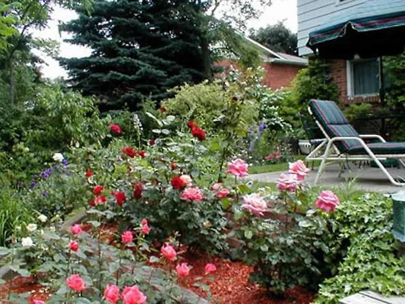 Dorchester House Bed & Breakfast Niagara Falls
